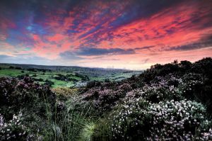 haworth sunset 1.jpg